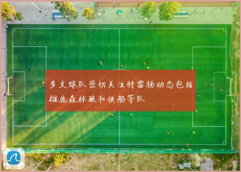 多支球队密切关注特雷杨动态包括雄鹿森林狼和快船等队