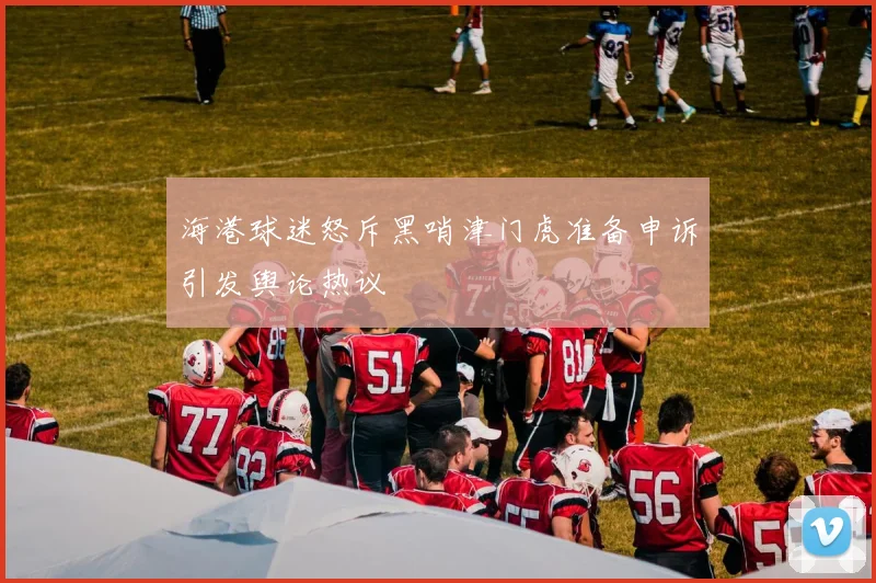 海港球迷怒斥黑哨津门虎准备申诉引发舆论热议