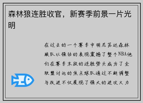 森林狼连胜收官，新赛季前景一片光明